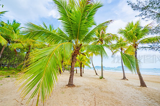 Ҭ(mng)L(zhng)ҬɳL(fng)