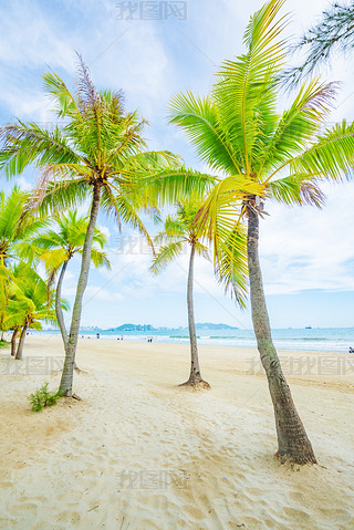 Ҭ(mng)L(zhng)ҬɳL(fng)