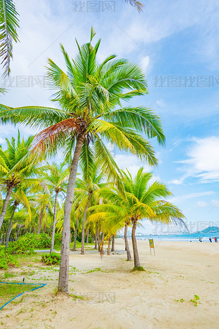 Ҭ(mng)L(zhng)ҬɳL(fng)