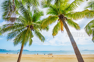 Ҭ(mng)L(zhng)ҬɳL(fng)