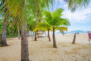 Ҭ(mng)L(zhng)ҬɳL(fng)