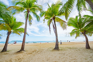 Ҭ(mng)L(zhng)ҬɳL(fng)