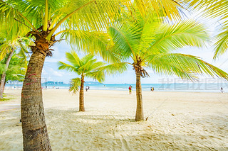 Ҭ(mng)L(zhng)ҬɳL(fng)