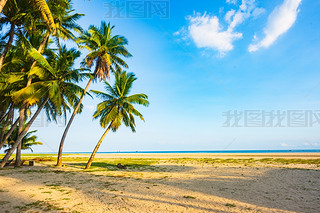 ĲϦ(yng)r(sh)֖|ҬL(fng)