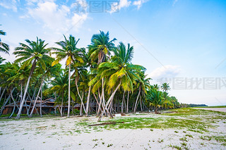 ĲϦ(yng)r(sh)֖|ҬL(fng)