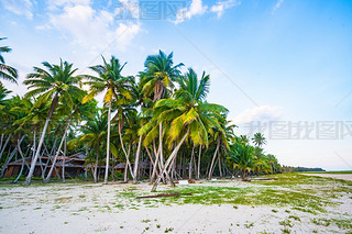 ĲϦ(yng)r(sh)֖|ҬL(fng)