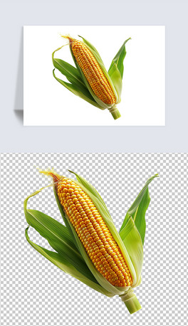 һԪ