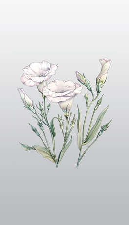 ɫʢ_лٸ⓸͸pngDƬز