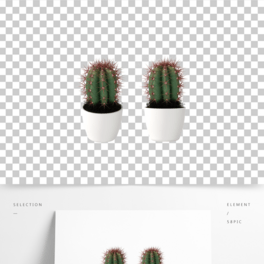 insLֲԻֲ