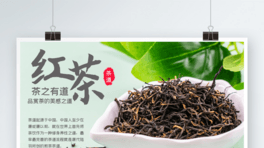 st躣PSD֌ģز