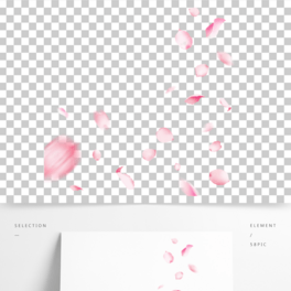 ƯزĲС·ɫ宋b