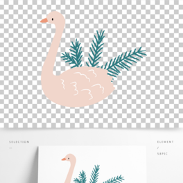 ʸbDZ