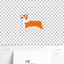 ɐLPͨȌ»
