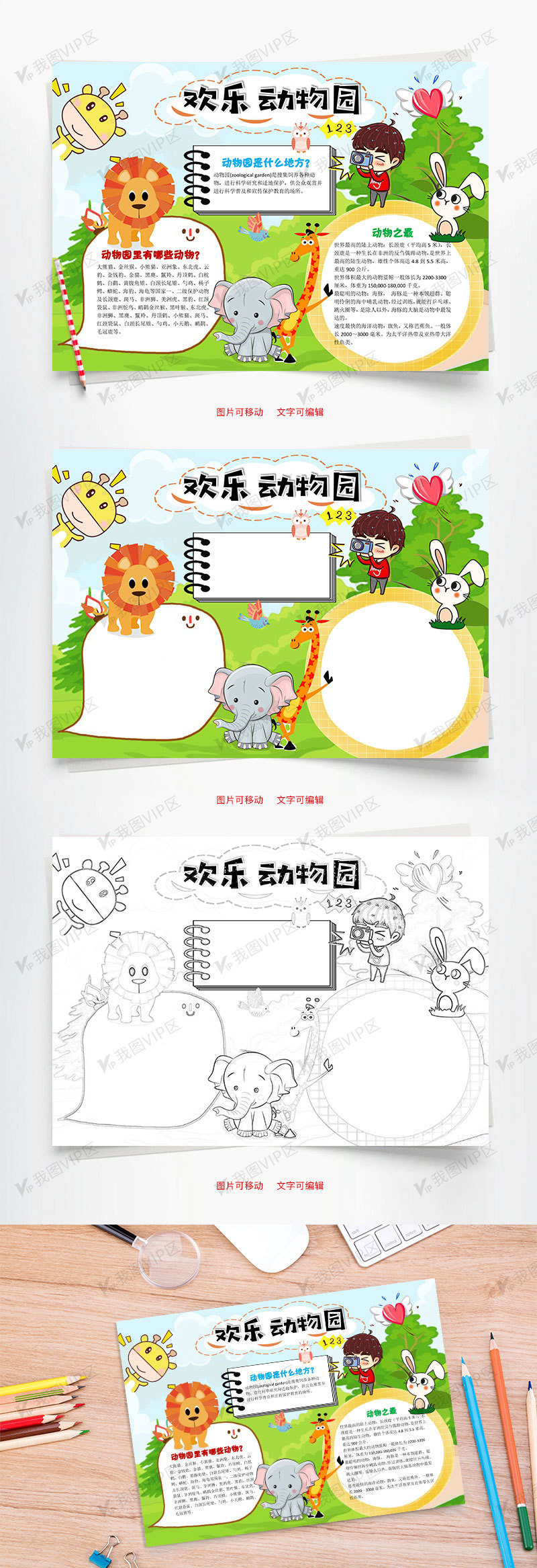 欢乐动物园word小报手抄报模板
