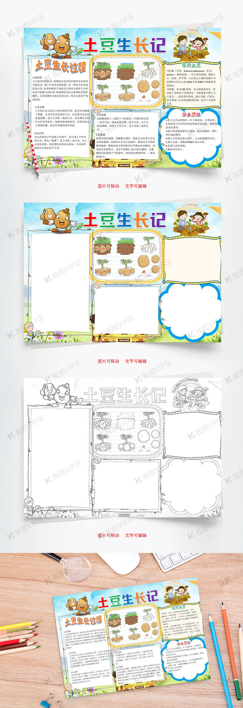 儿童插画土豆生长记小报word手抄报