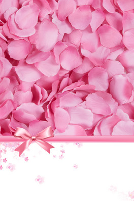 ϦСpsd֌banner