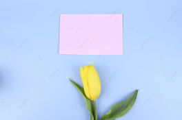 ɫԿrzӰD
