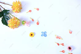 ܱD