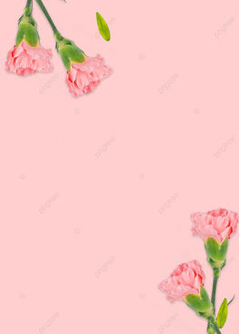 ɫλֲﱳ