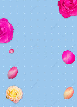 {ɫܸɃɫ