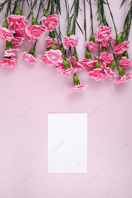 ɫܰƬzӰD