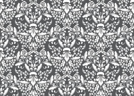 \opDŵbڼ