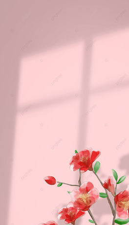 cӰɫ֙Cڼ