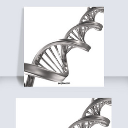 |dna3dԪ
