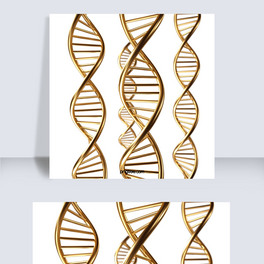 ɫdna3dԪ