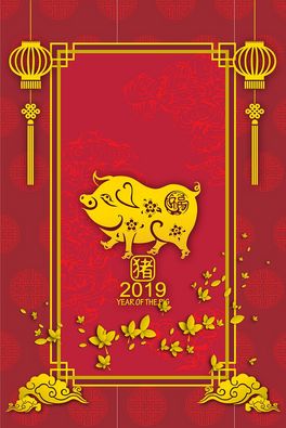 2019i´R