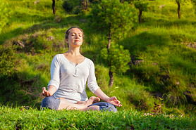 ɭ٤Padmasana°mudra