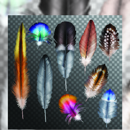 Bë͸ʸD