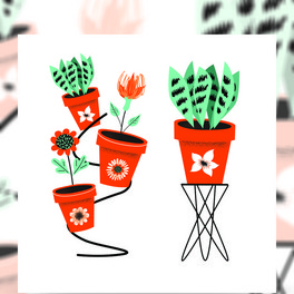 ܻʸDcyD