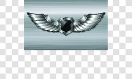3Dܻ՘(bio)־ʸD