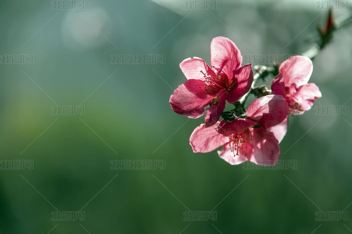 һ_݋