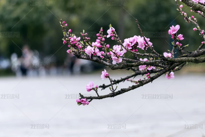 һ_݋