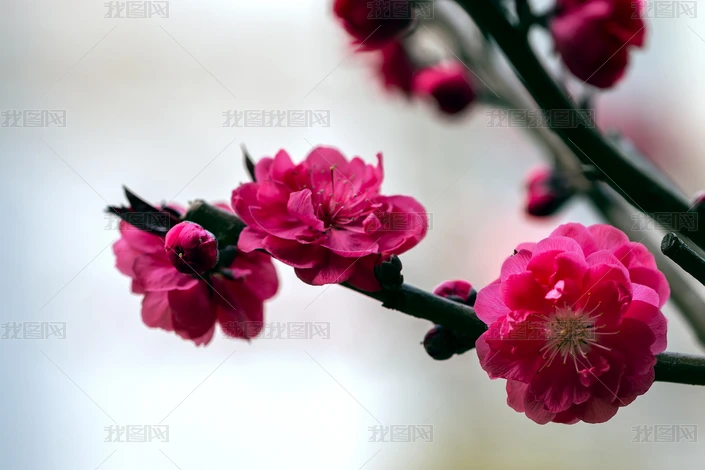 һ_݋