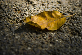 ϵһƬSɫ~