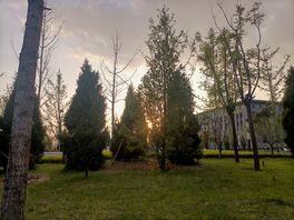zӰD(3)