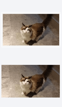 ؈Ƭ