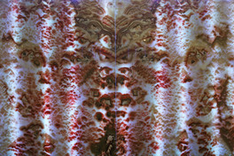 Ȼʯʯʯƴb-156