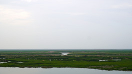 DSC06513