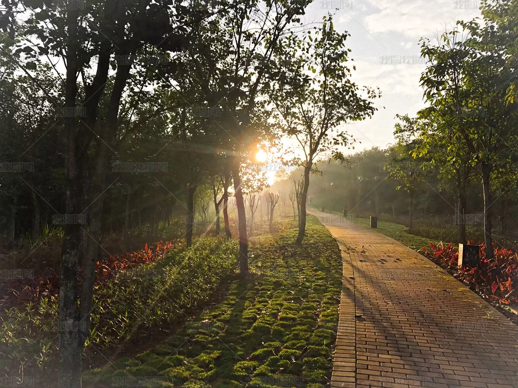 清晨的第一缕阳光