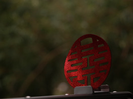 ϲo