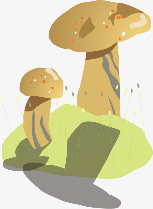 2cc992acfe838e866e95a27684f967de.jpg