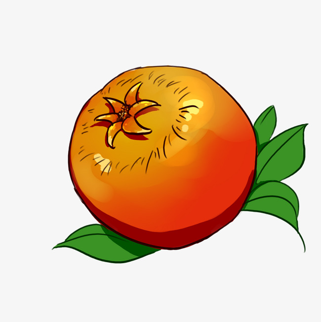 47c98ec2348932ea99d8e401c1acf091.jpg