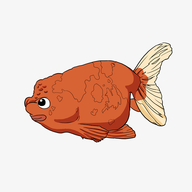 鱼图片卡通头像 8c4744dd25a6323cc9252fae77f7970c.jpg