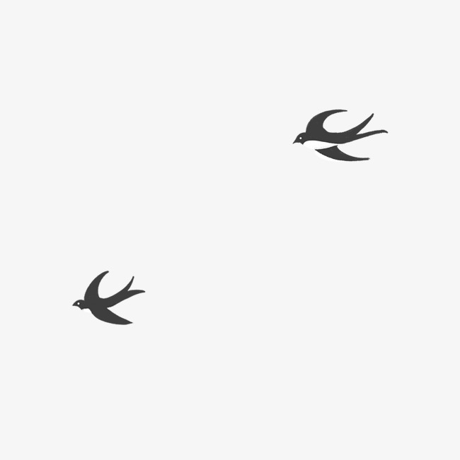 燕子往南飞猜一成语_往南飞的燕子图片