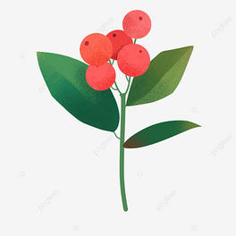 LʥQ֦lDholly