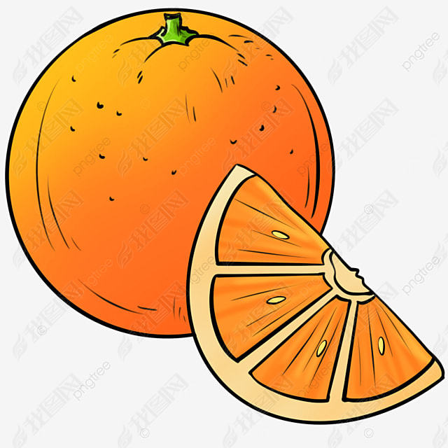 ɫȼorangeclipartˮֻ